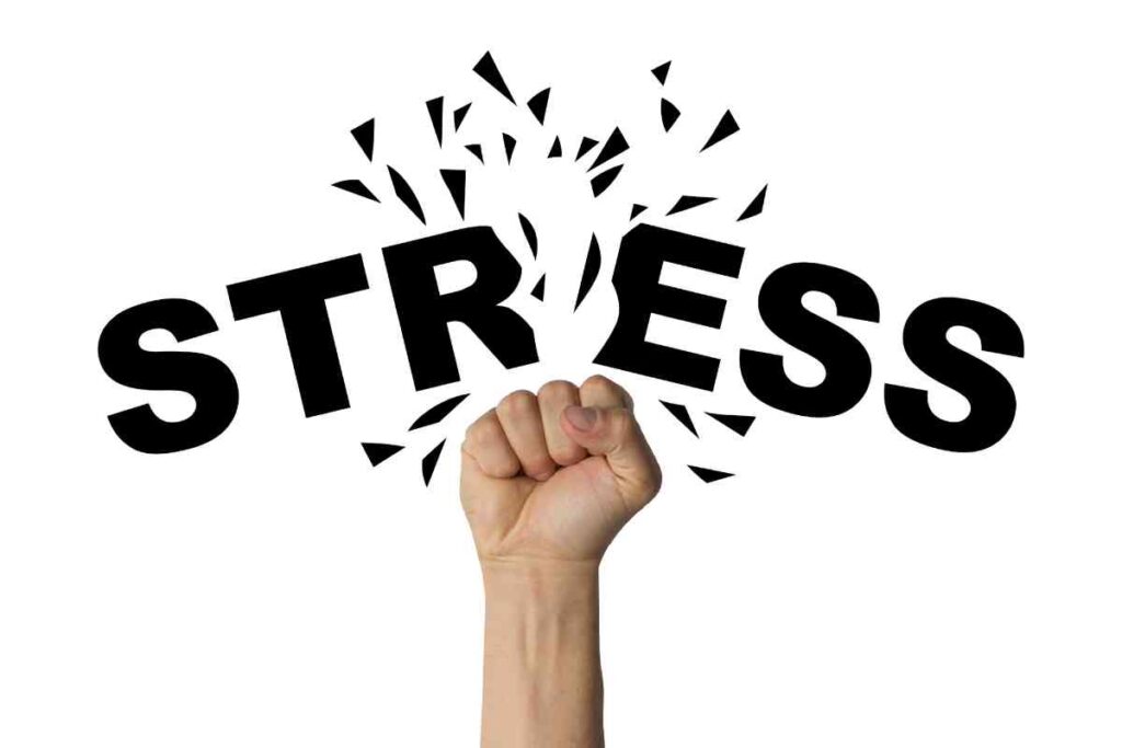 stress management (3)